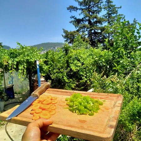 Hotel Tokgoez Restaurant